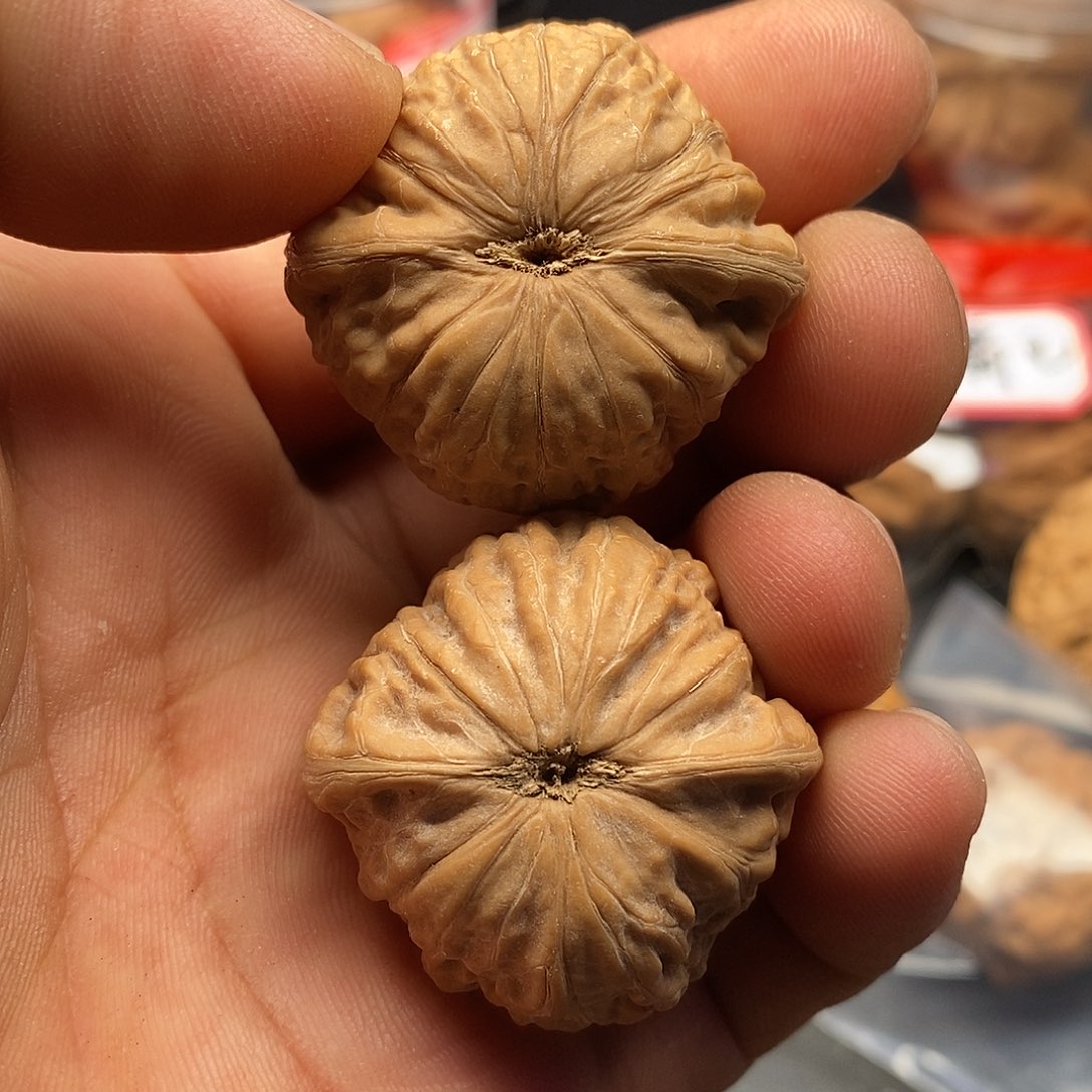文玩核桃把件Y**?t36铁锤