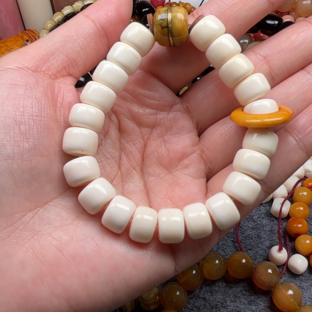 鹿骨其他人工养殖驼骨24