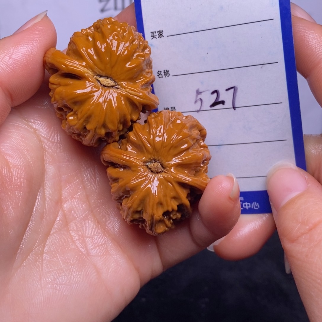 文玩核桃把件527/37白狮子色差