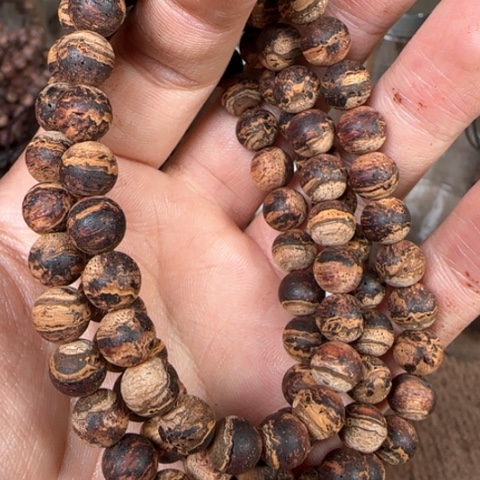 藤类0.8缅甸小叶降真香黄金甲爆甲紫罗兰多圈