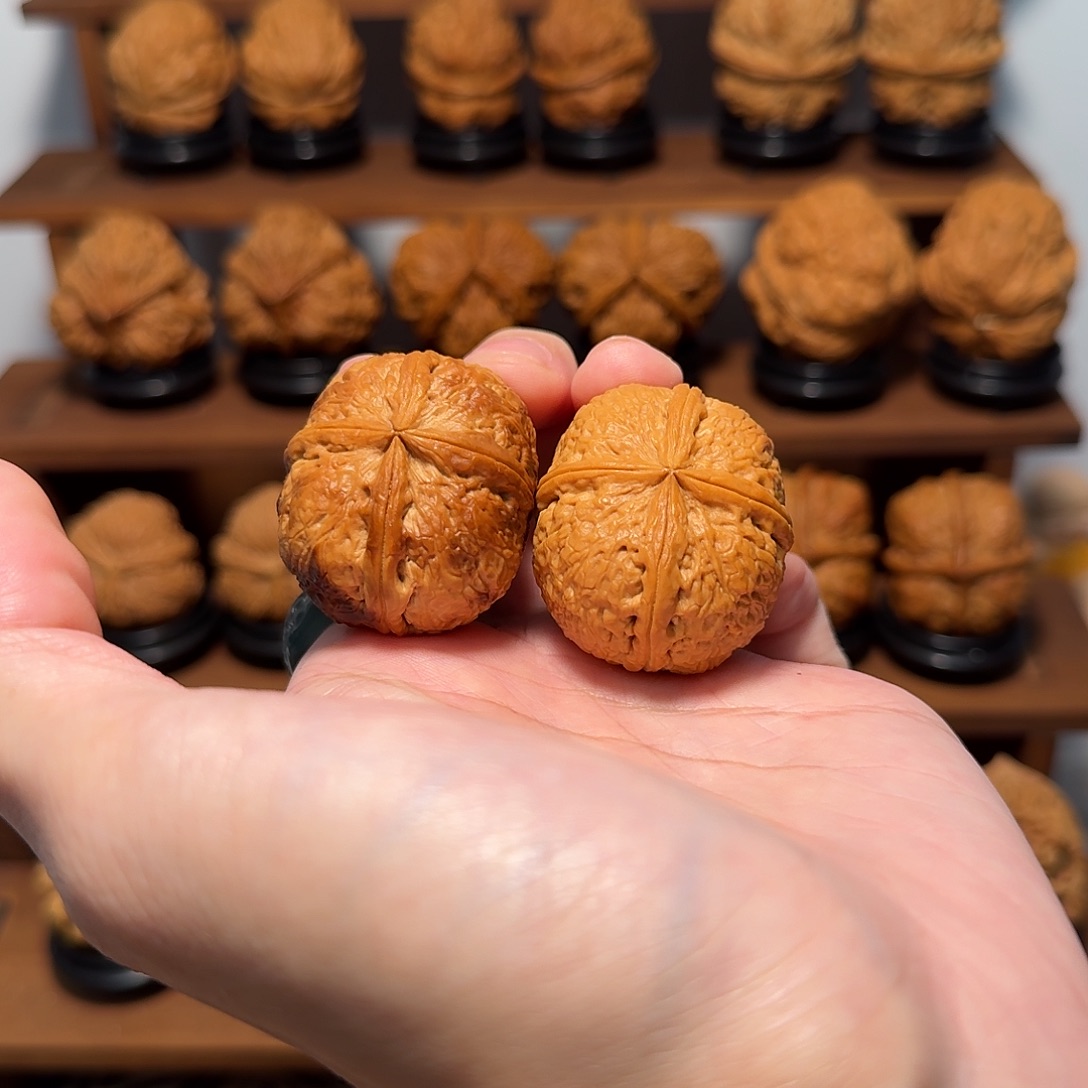 p****e七彩四棱，云南铁核桃