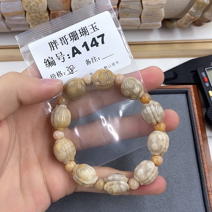 硅化珊瑚珊瑚玉未镶嵌