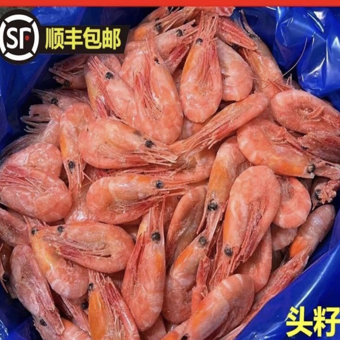 大号北极甜虾（北极甜虾2斤-4斤）既食甜虾/顺丰包邮