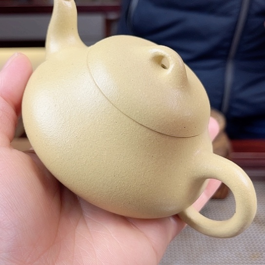 紫砂茶壶今天不知道