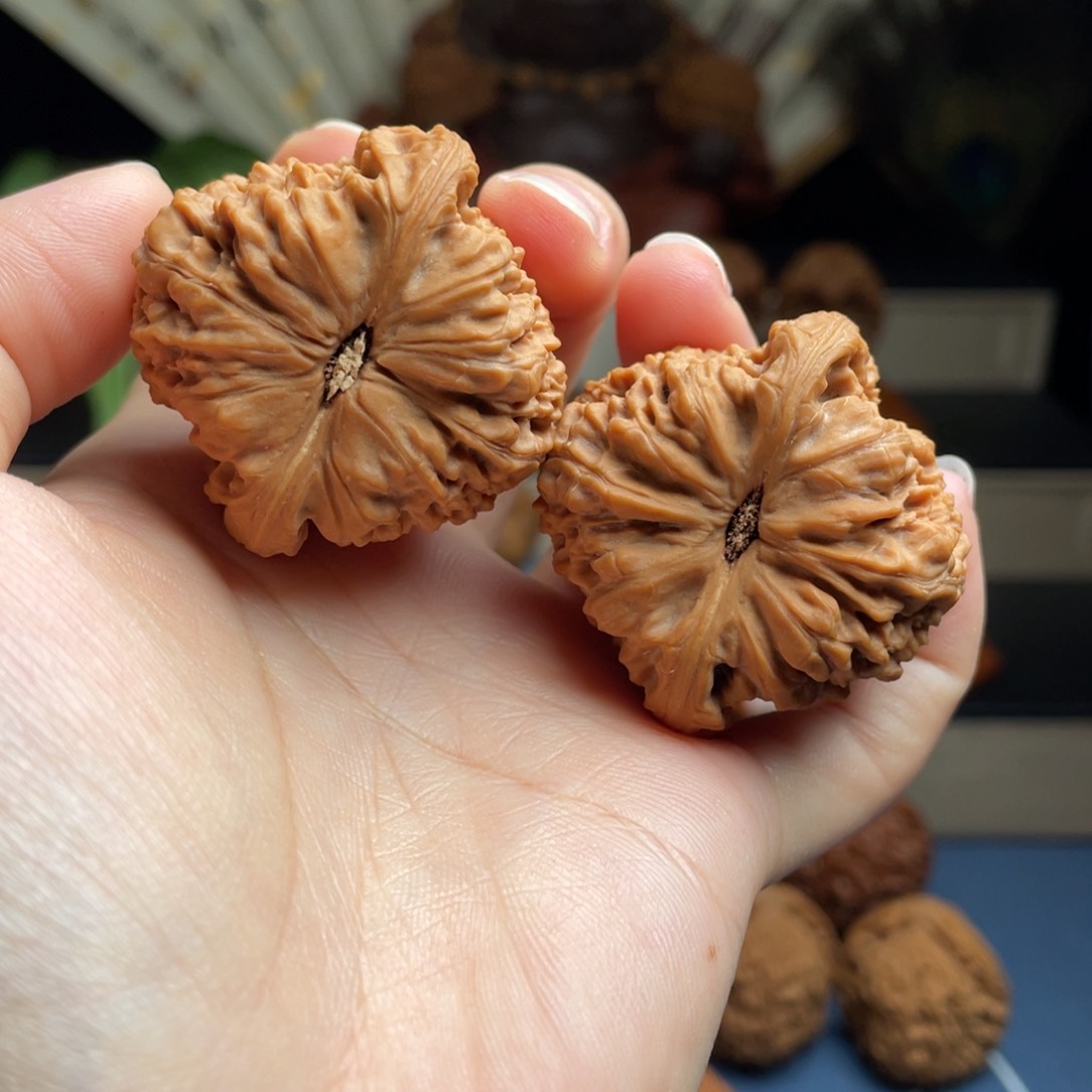 文玩核桃把件核桃