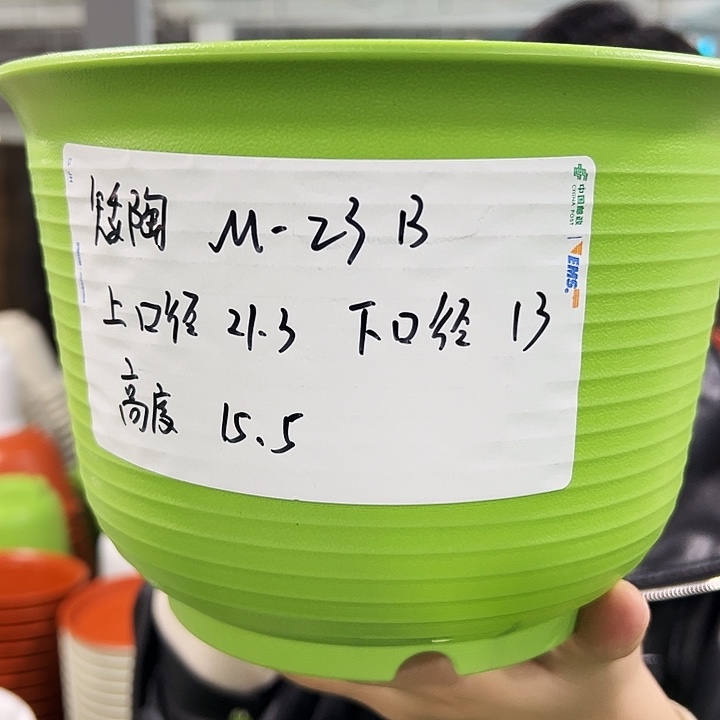 正品矮陶口21高15果绿色8个无托