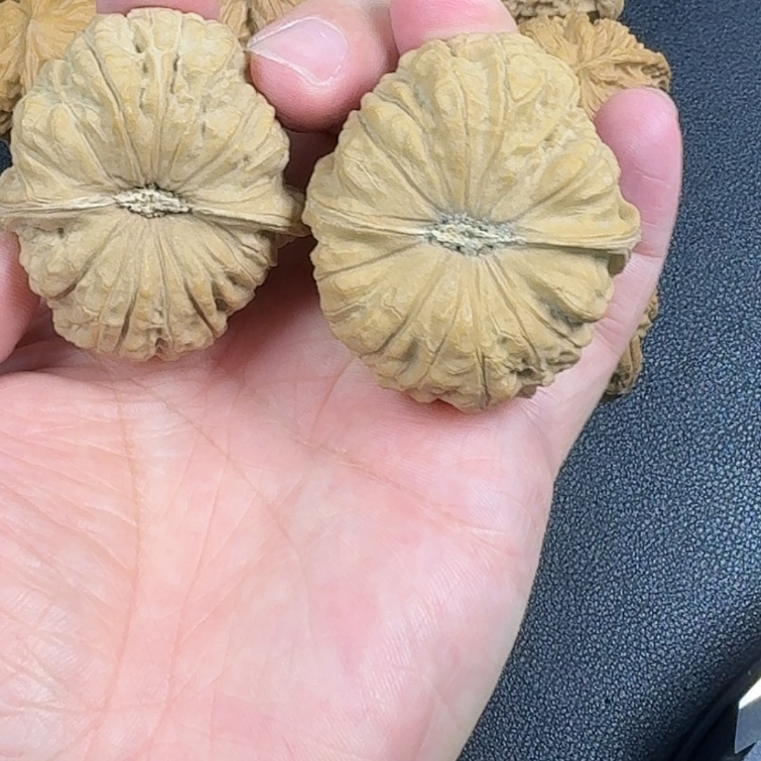 禾***呈吊坠文玩核桃南瓜墩