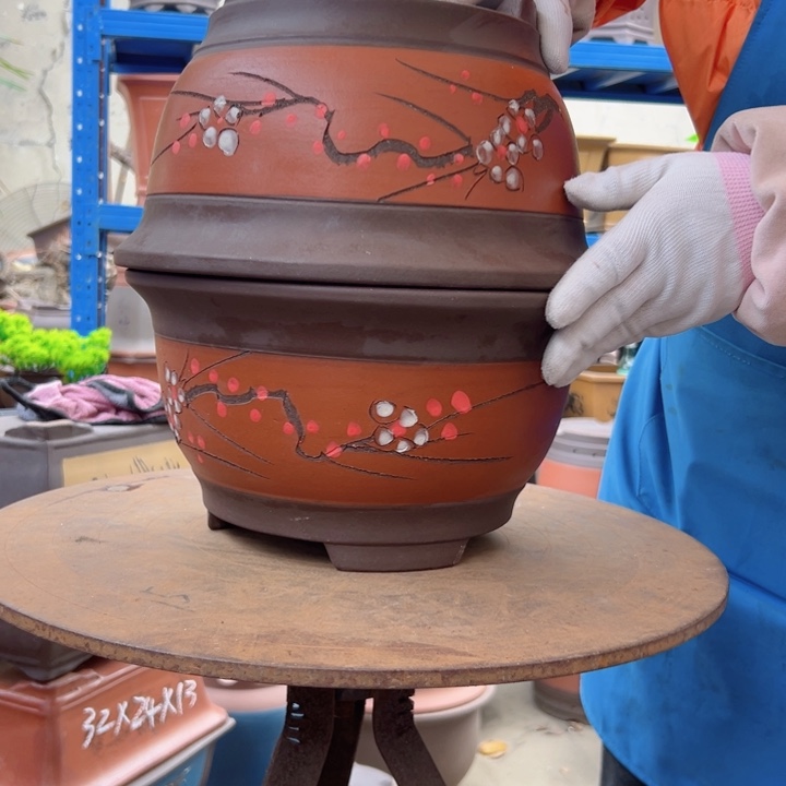 两个红富贵点菜大花盆花盆花盆