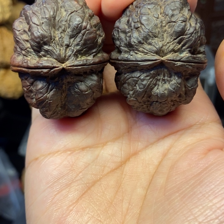 文玩核桃吊坠蝉王十八包