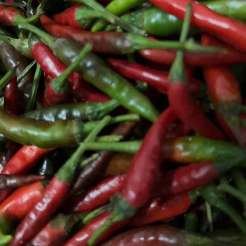 重庆本地小米辣新鲜现摘辣椒