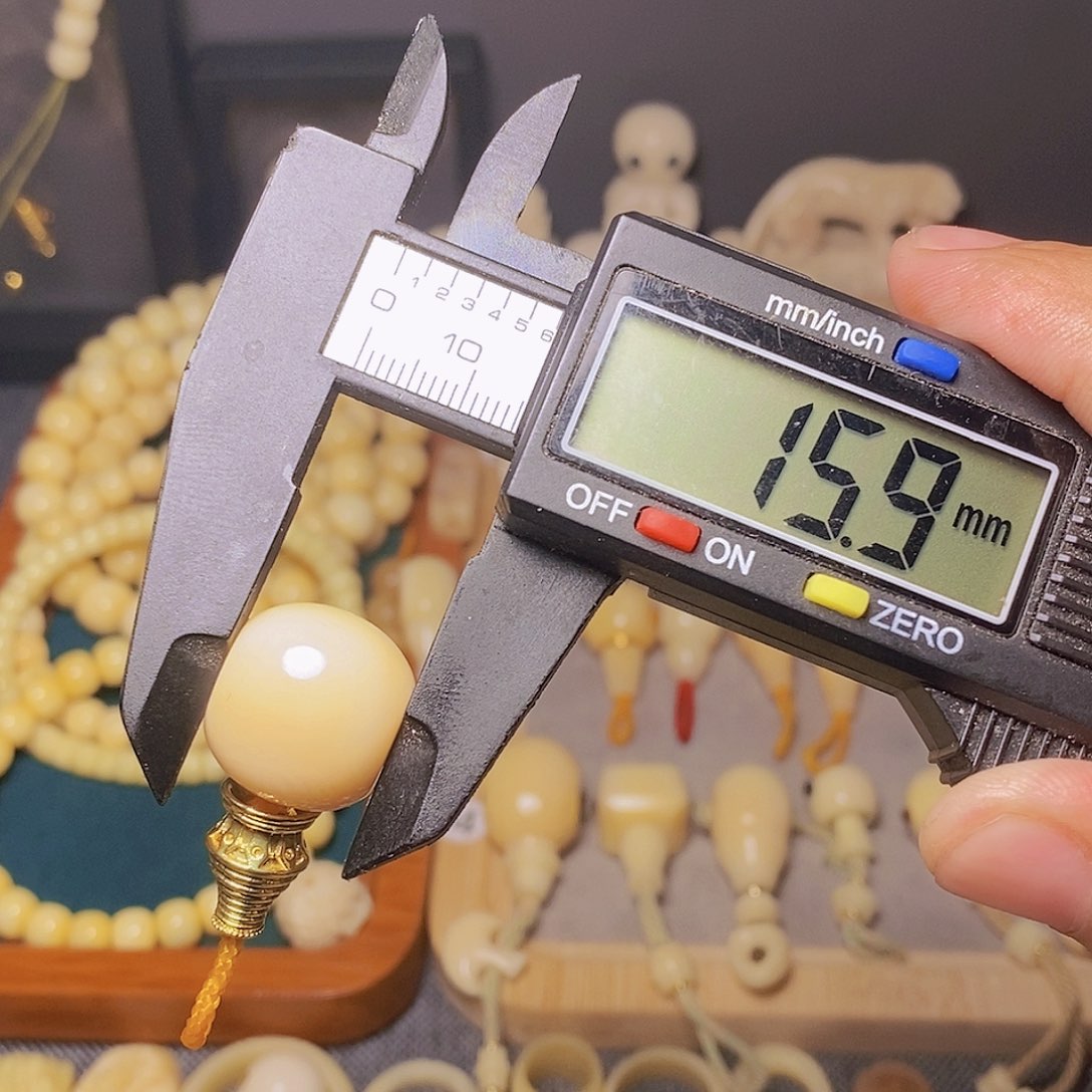 无磁石等***年猛犸牙99999