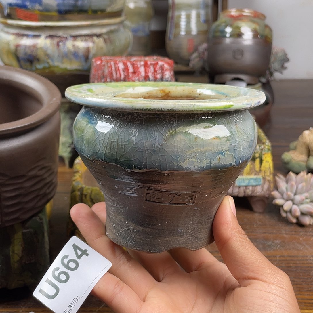 默认微次 元旦福利 坛子姐花盆