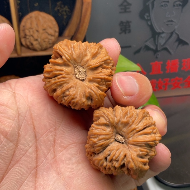文玩核桃吊坠涿鹿南疆39尺凹底高炮
