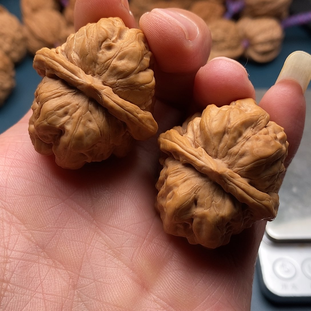 文玩核桃蛤膜头35全品