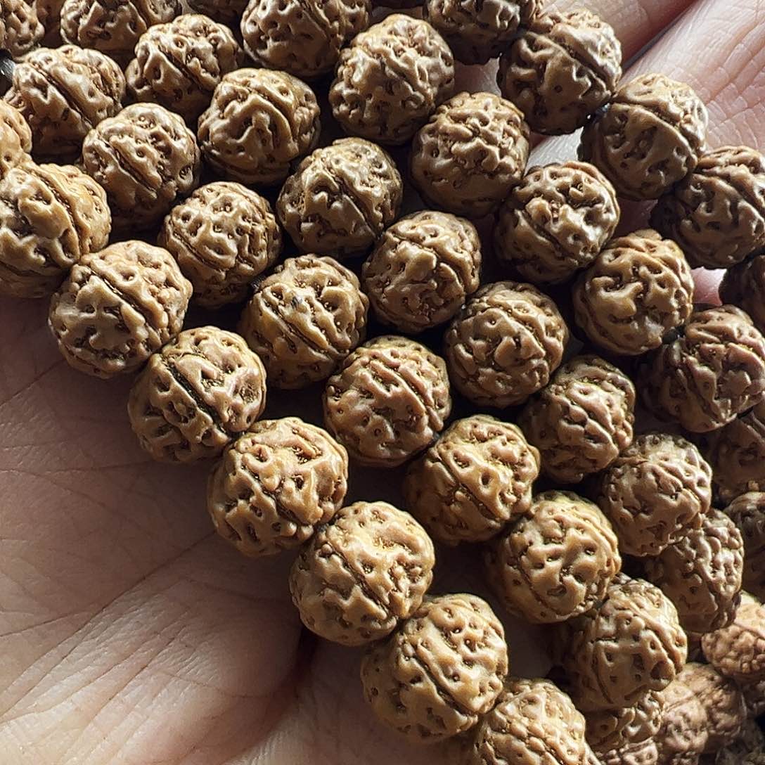 吊坠金刚菩提老树爆肉梅花