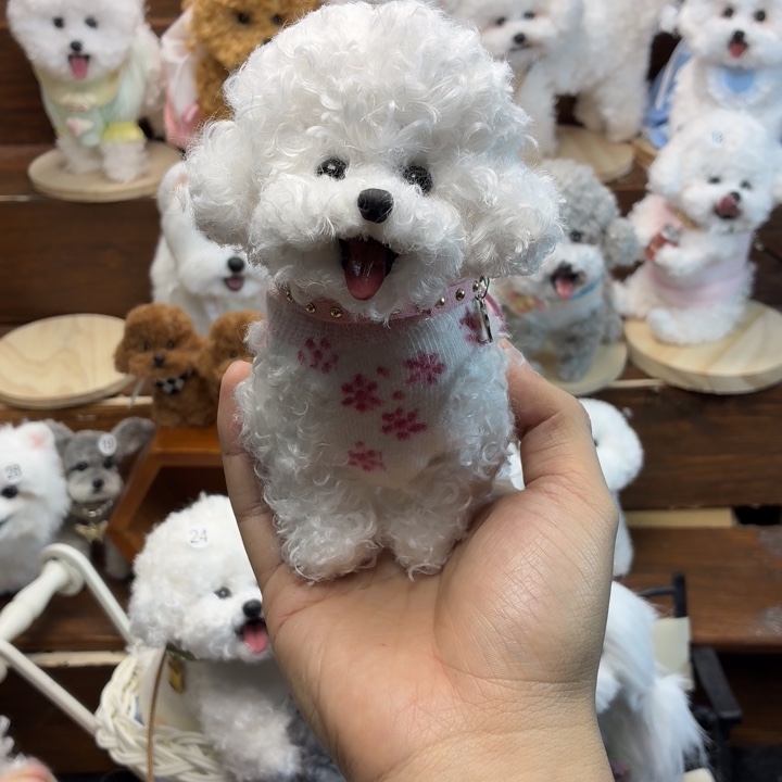 PVC32大致福利，限时抢