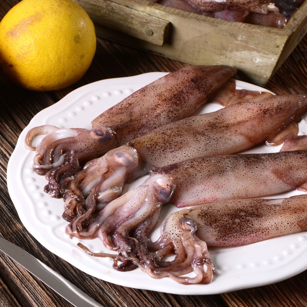 冰鲜鱿鱼450g-500g/一份  （非活冰鲜）