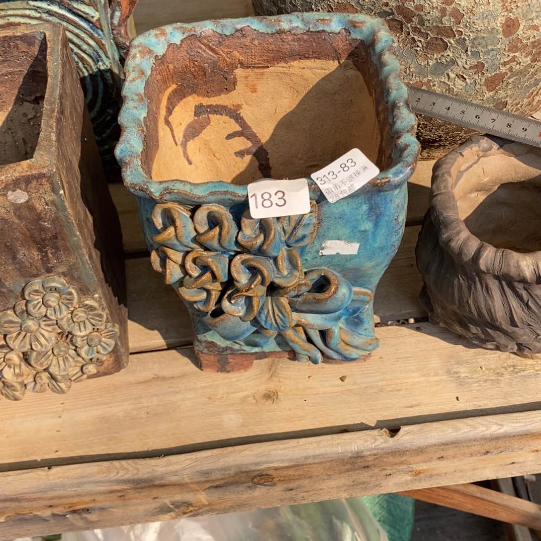 云**轻83号多肉盆一个