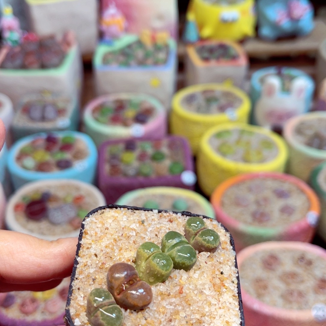 007。88888888888888