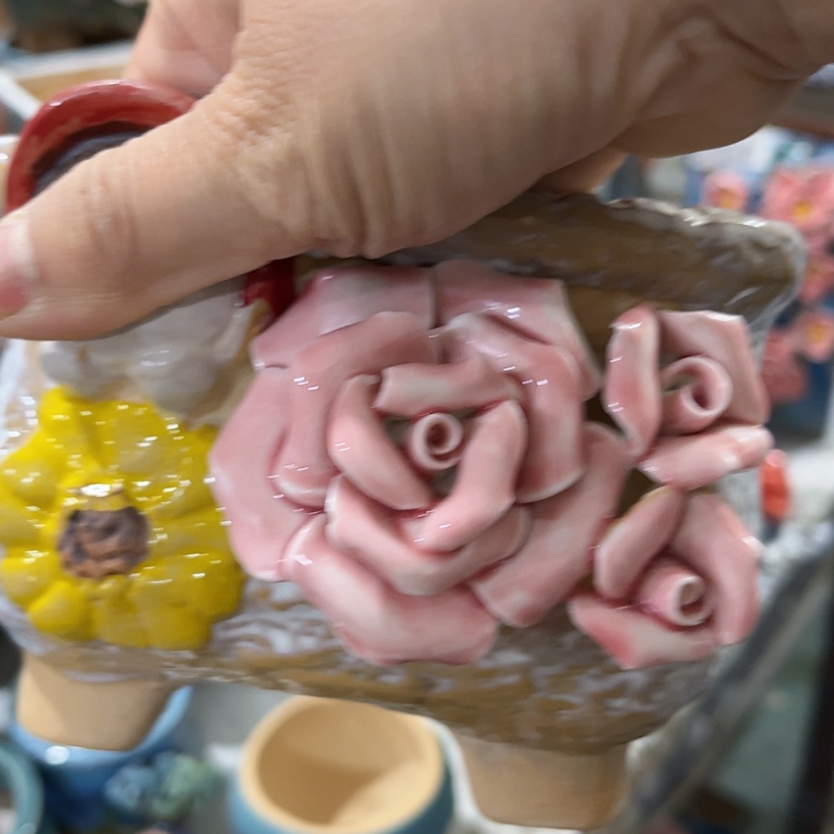 【闪购商品】红陶福利