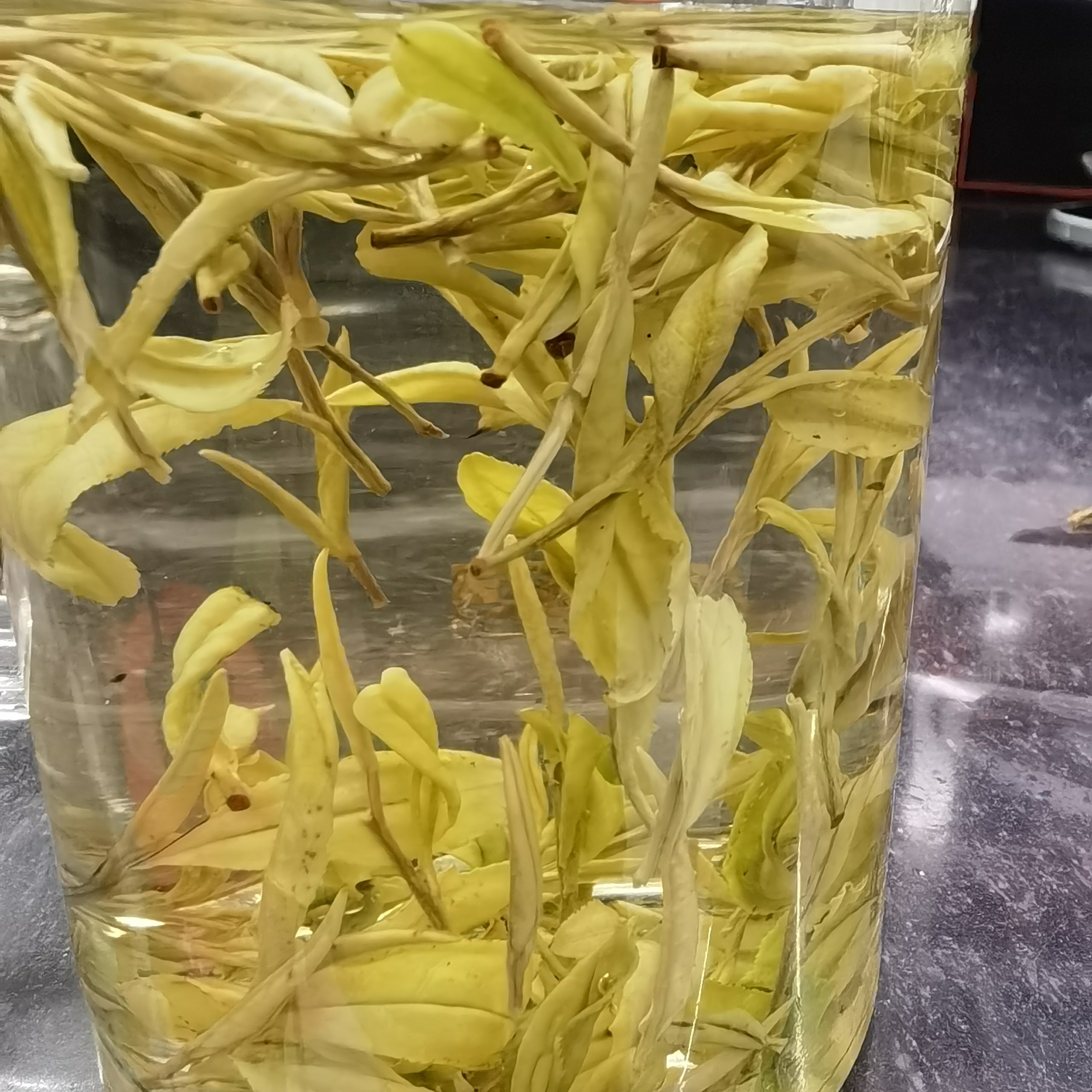 2025新茶，  高山黄金芽  豆香味特别浓郁  亏钱卖的