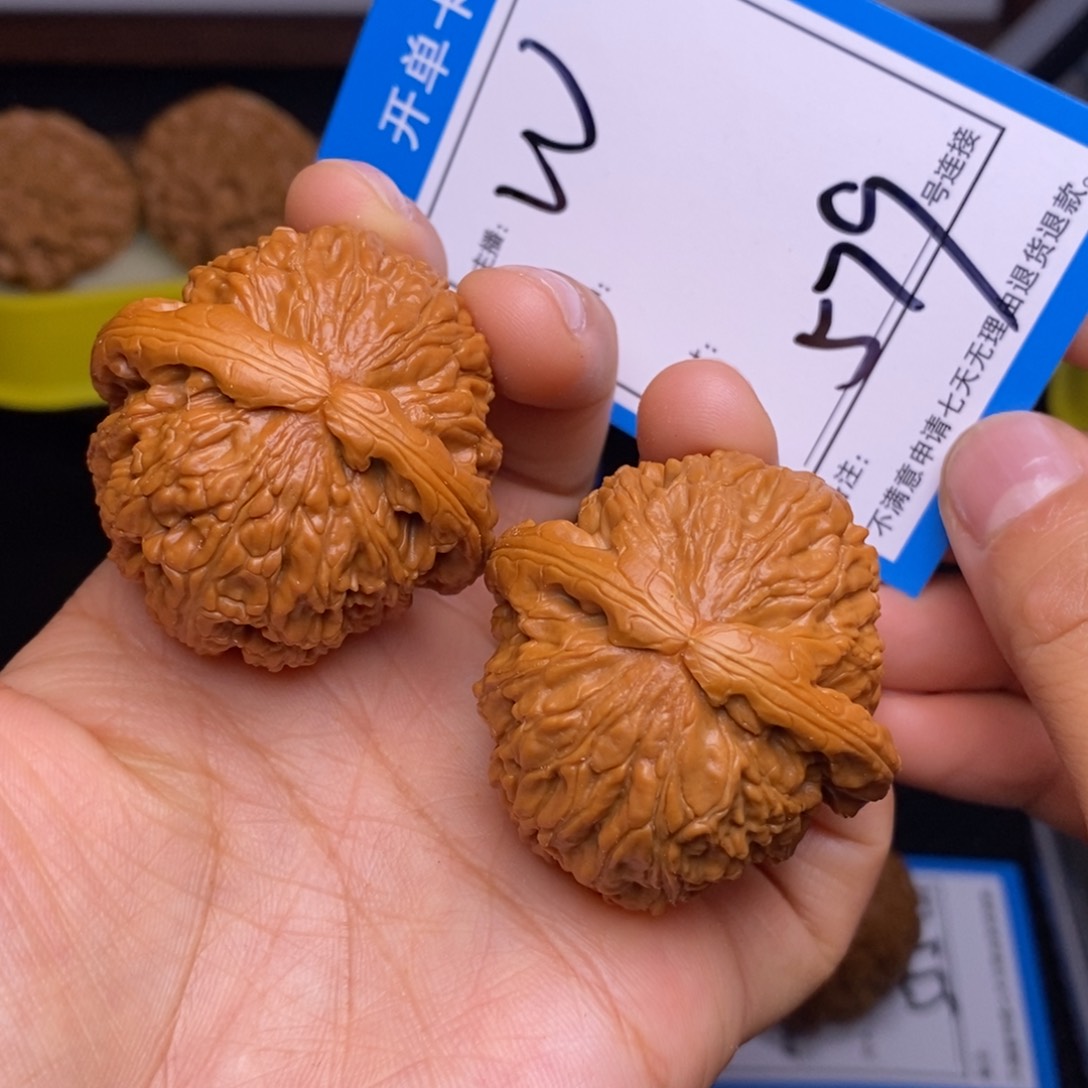 文玩核桃把件42球白579号
