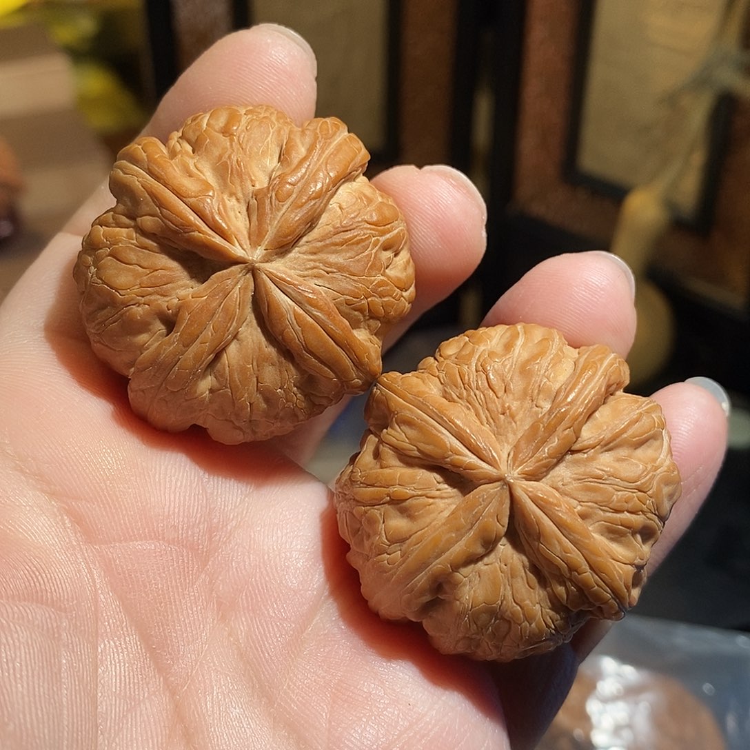 文玩核桃把件44元宝四棱全品