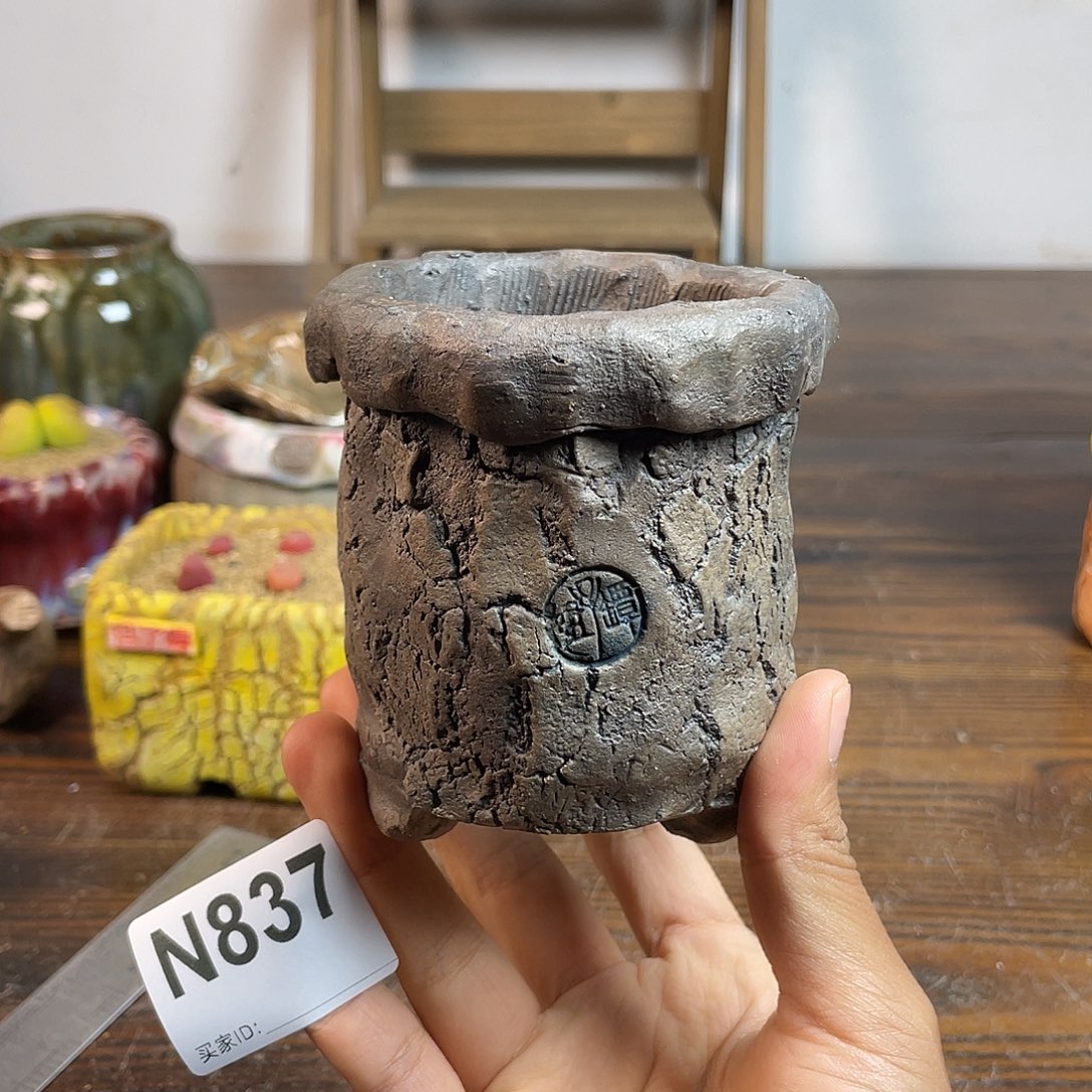 坛子姐花盆 双十二限时福利 默认微次