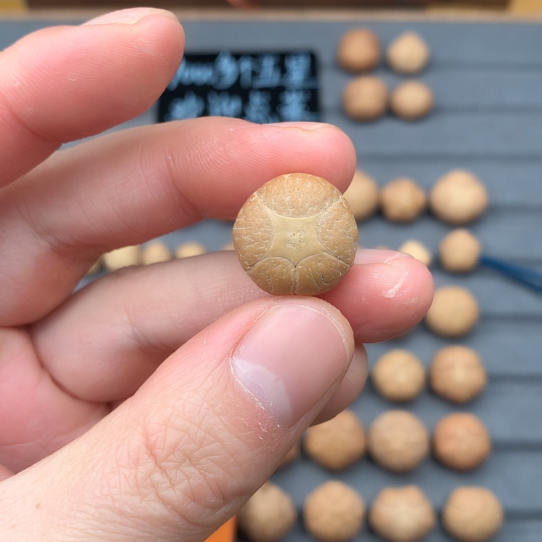 吊坠凤眼菩提18+五星，非质量问题开孔不退