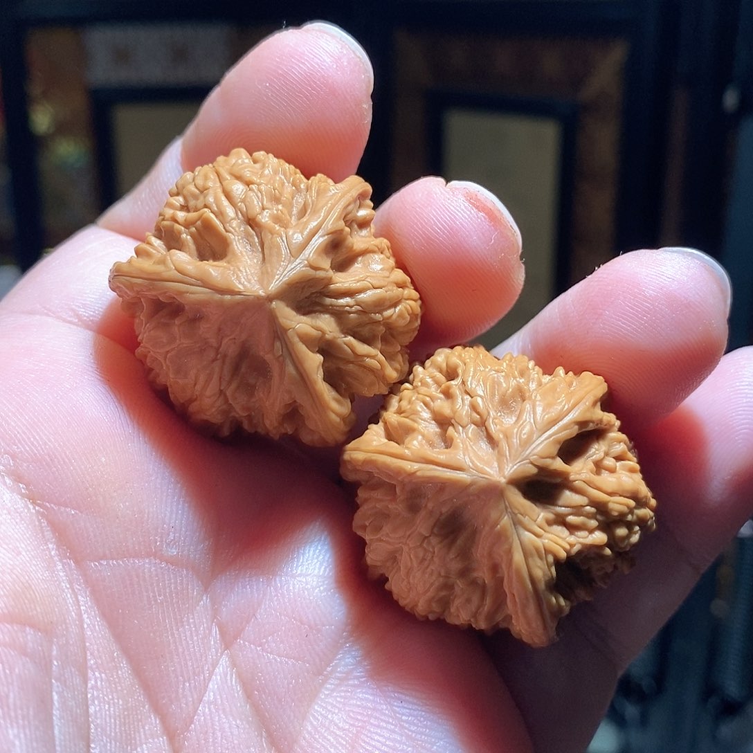 文玩核桃把件35文山三棱全品