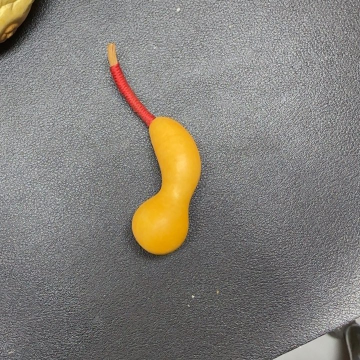 单***歌哈哈哈哈哈哈哈哈葫芦