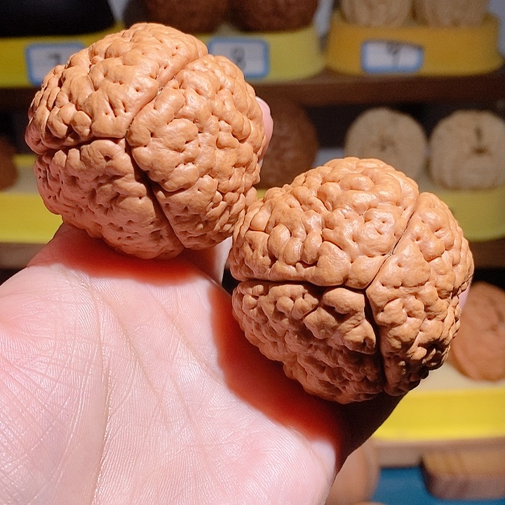 野生三瓣脑纹大金刚4850