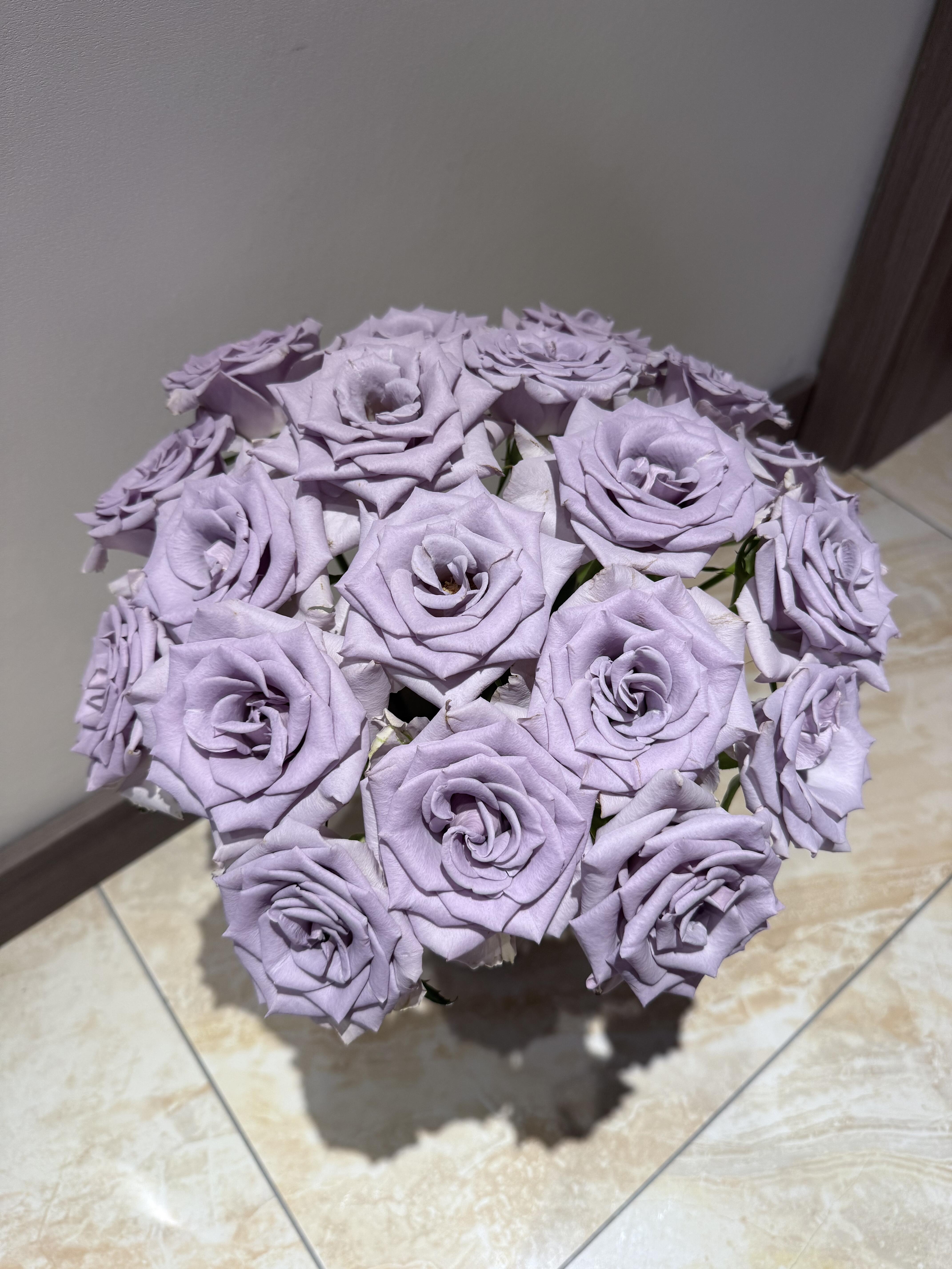 【买一送一】C级惊艳蓝玫瑰10支   云南基地鲜花 直发   家养水养