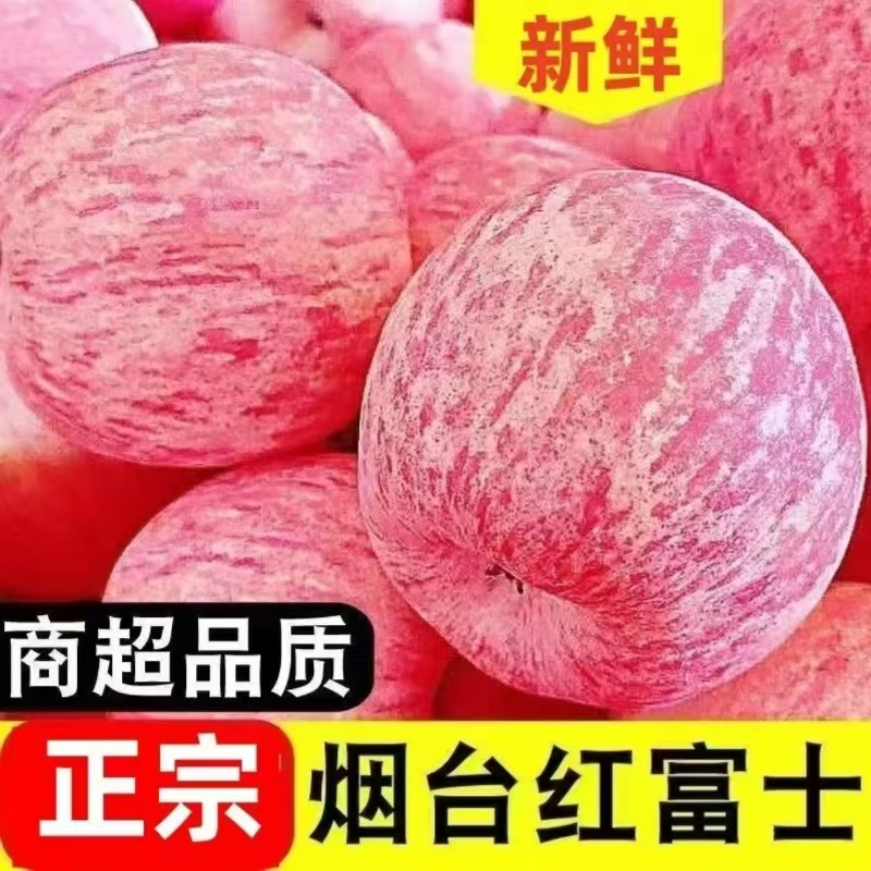 【买五斤送五斤】山东烟台红富士苹果产地直发新鲜脆甜水果