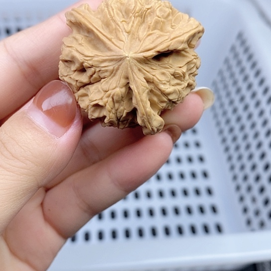 吊坠文玩核桃A***哥