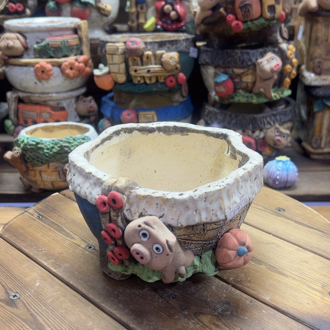 红陶嘻哈多肉花盆