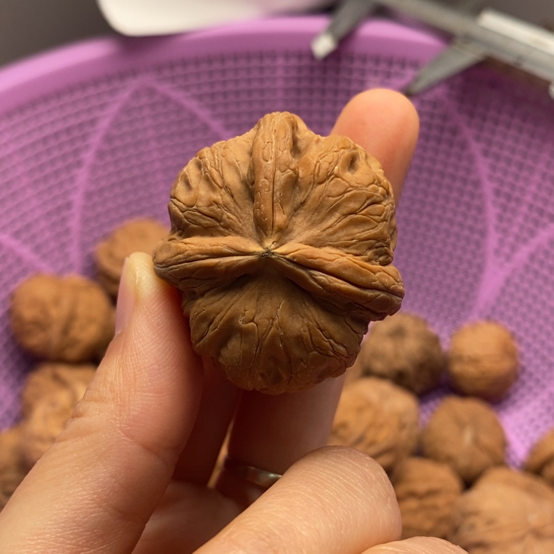 o***哥核桃定制商品不退不换