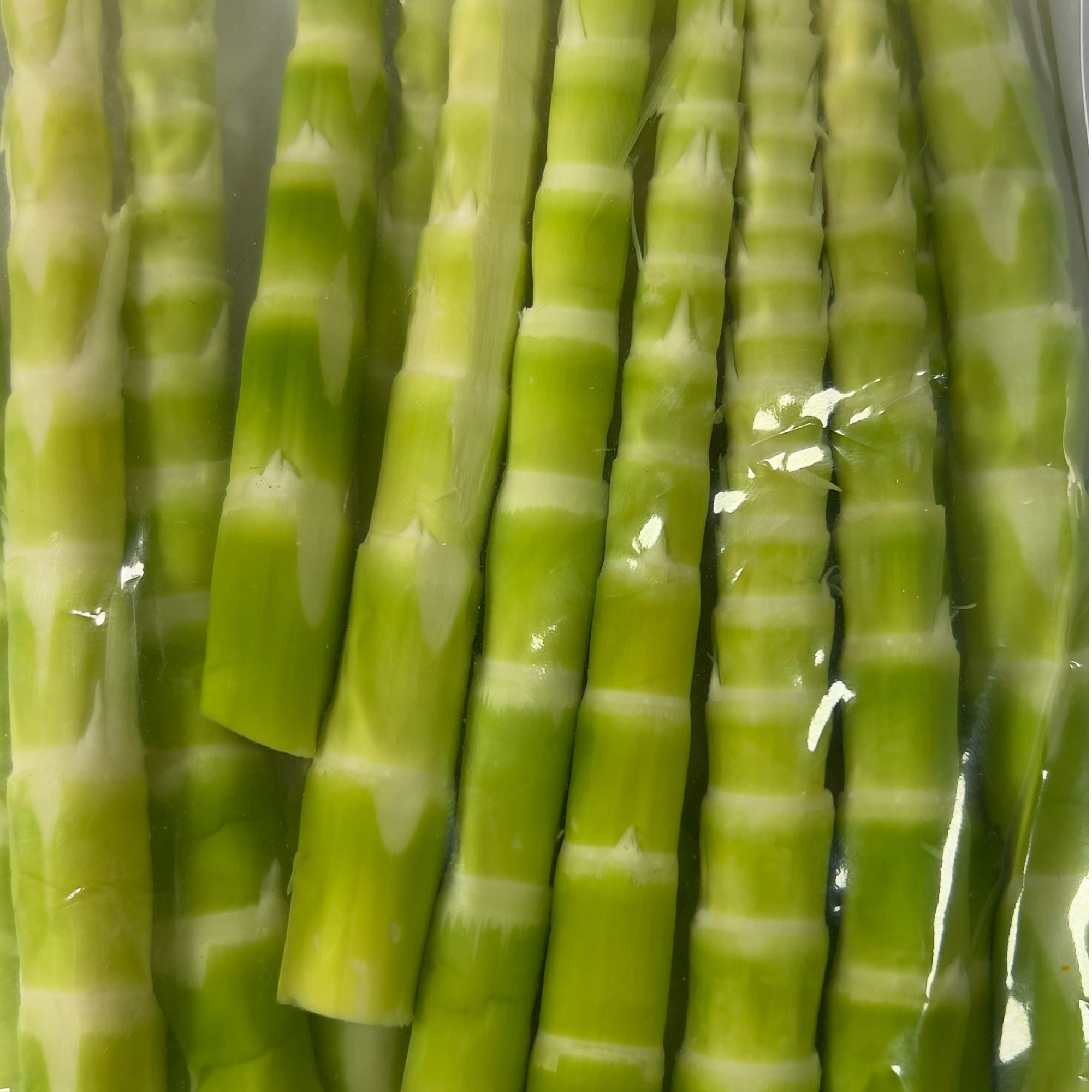 【1斤装】绿笋新鲜小竹笋