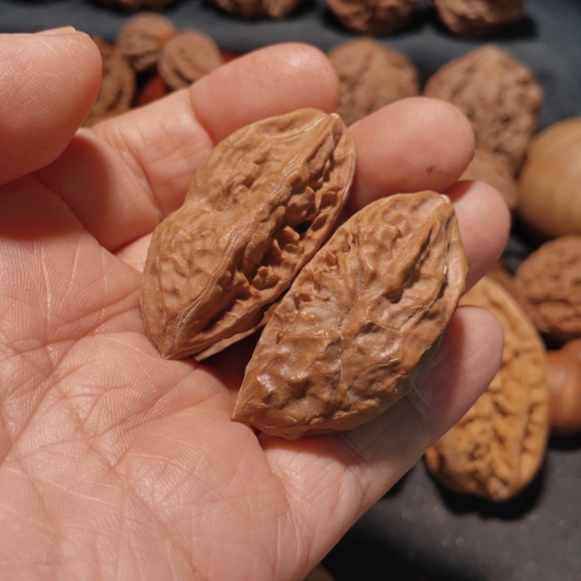 【闪购商品】把件文玩核桃东北楸子14