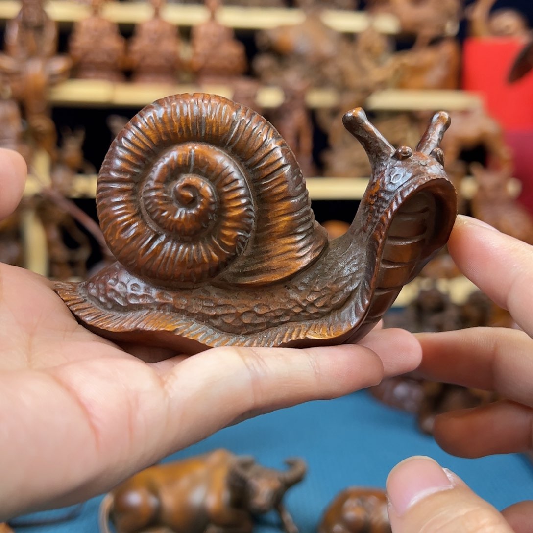 黄杨木小叶黄杨木