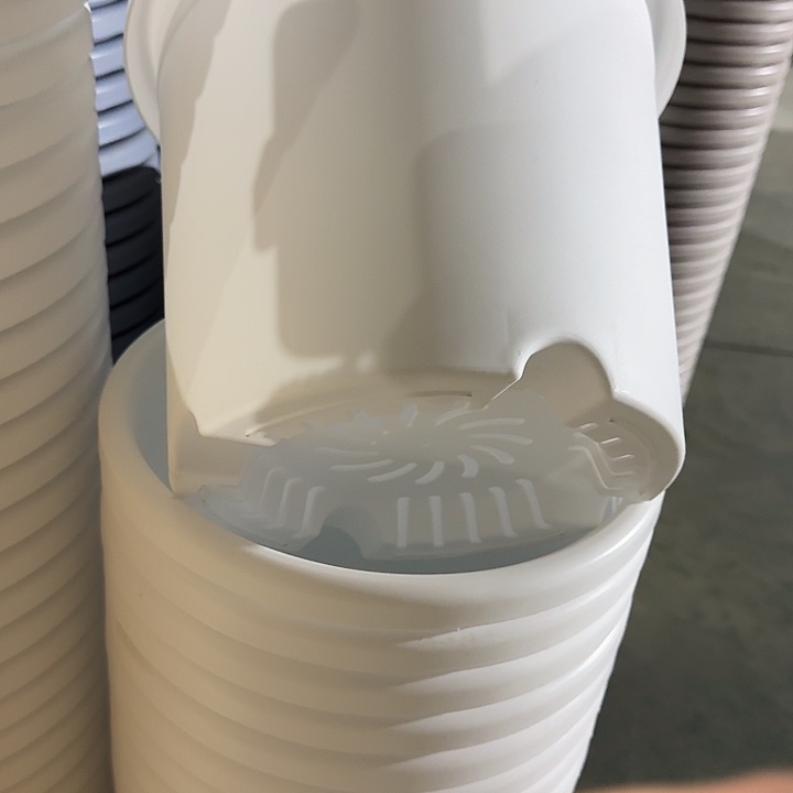 四季5号纯白无拖10个