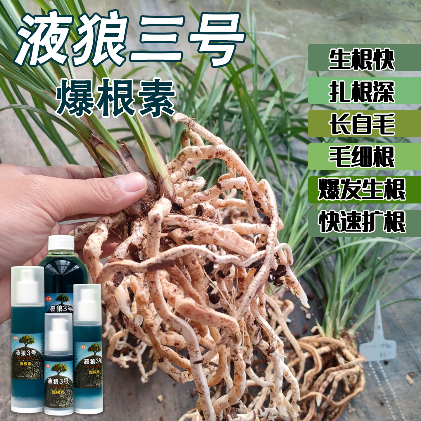 【达人专属】液狼3号爆根素家庭园艺有机水溶肥促根生根浓酸营养液
