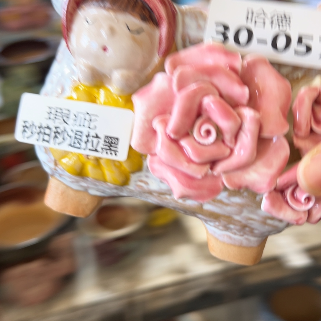 瑕疵3057 多肉花盆，满20发货爱退款拉黑