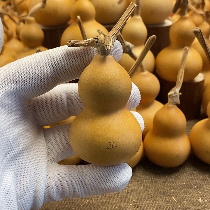 文玩葫芦 完美主义者 慎拍24