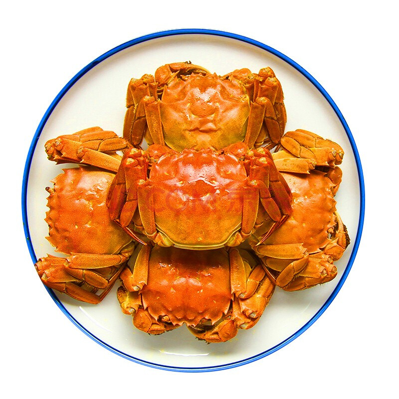 【活蟹】江苏大闸蟹母蟹10只 单只2两左右（个别掉腿）长春同城当日达