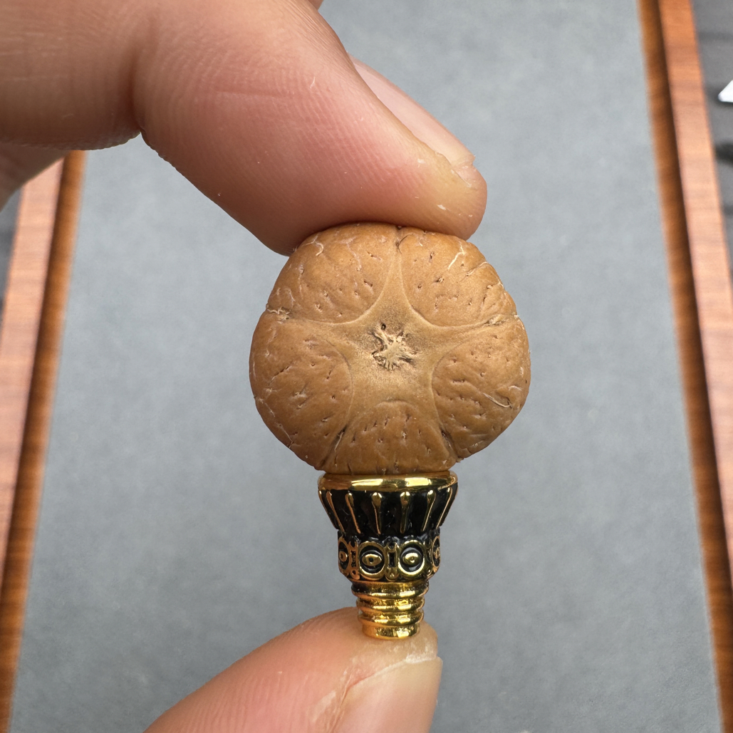 特价20+尼泊尔五星上将菩提凤眼三通佛头，非质量问题开孔不退