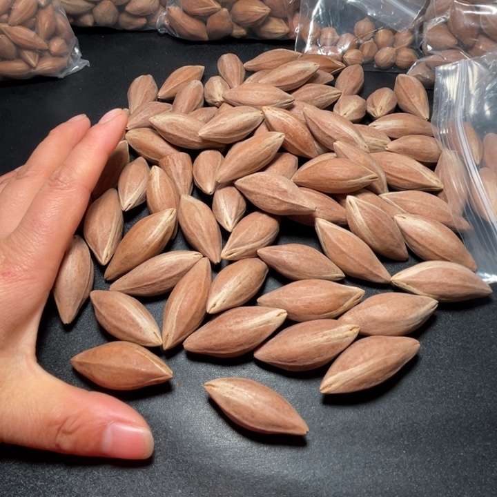 *****手串/手链猪牙我是