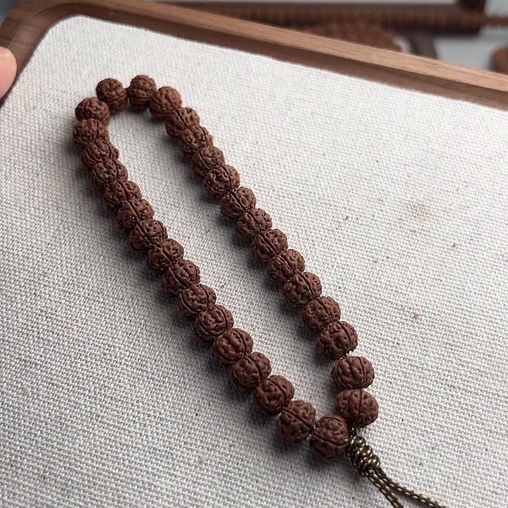 手串金刚菩提老树王单圈 10+