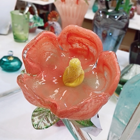 琉璃夜光花高45厘米