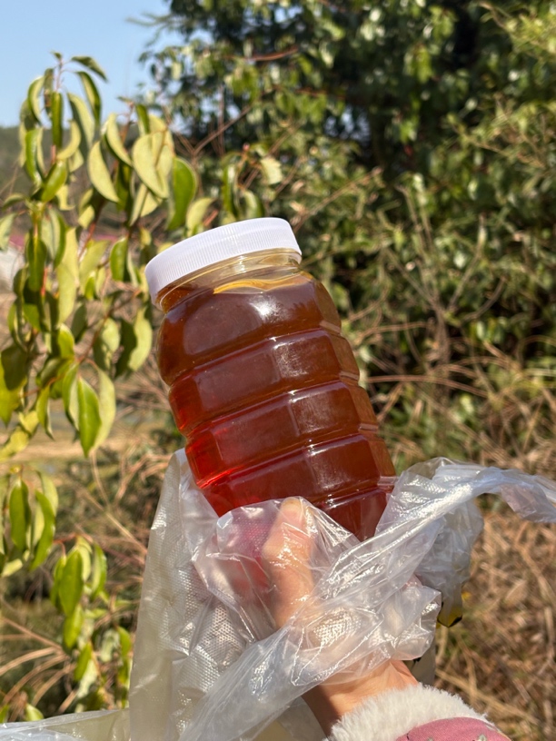 湘韵甄选农家-土蜂蜜